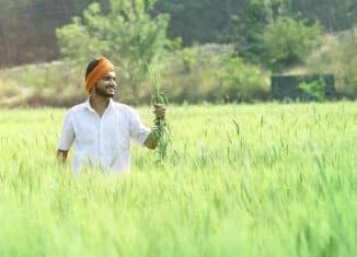 government backed farmer schemes