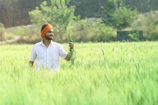 government backed farmer schemes